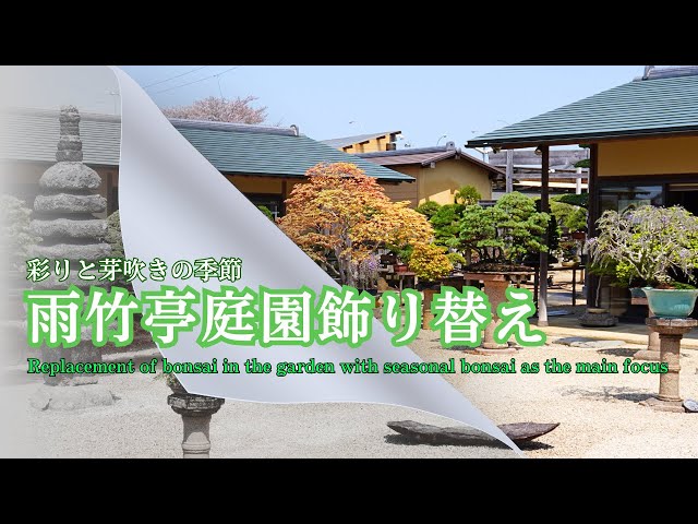 Uchiku-tei Bonsai Garden Decoration Change - Welcome to the garden in the season of budding life -