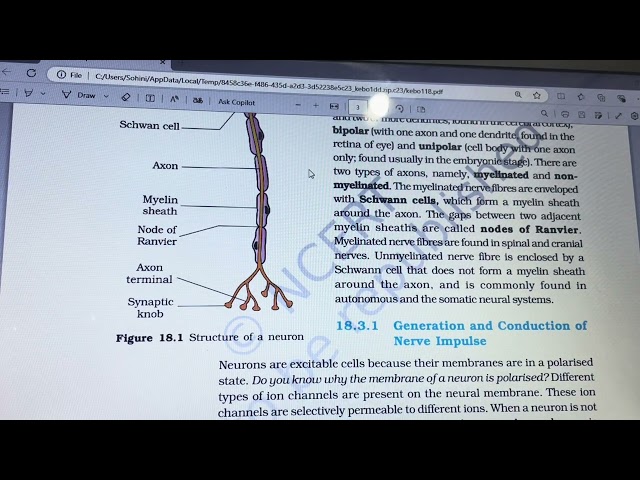 NCERT Biology Class XI-Neural Control and Coordination- Audiobook 2025 New Syllabus #neet #boardexam