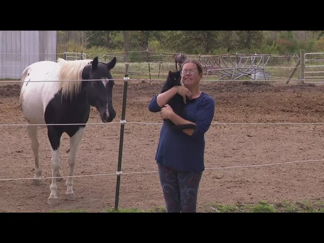 Lake Township stable owner charged with resisting arrest after alleged horse dispute