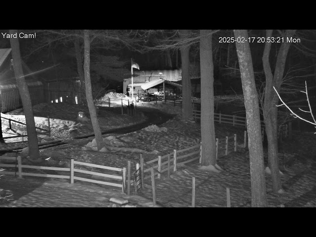 Goldy's Farm Animal Sanctuary Live Stream (www.GoldysFarm.com)