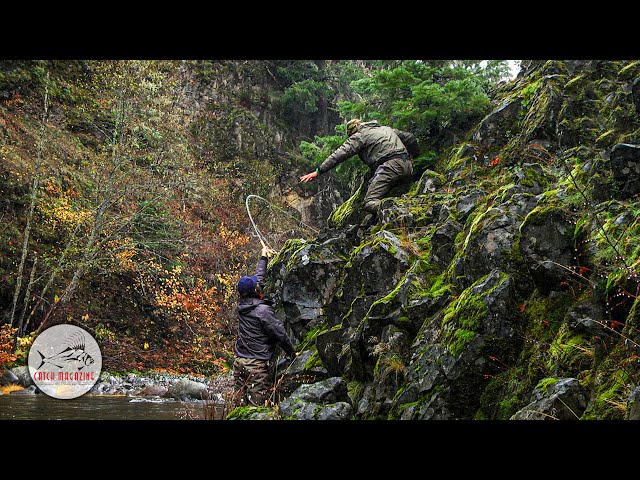 FALL RUN - EPIC STEELHEAD adventure by Todd Moen - Steelhead Fly Fishing