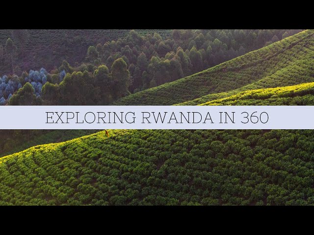 360 Video walkthrough of one of the Tea Plantation in Rwanda