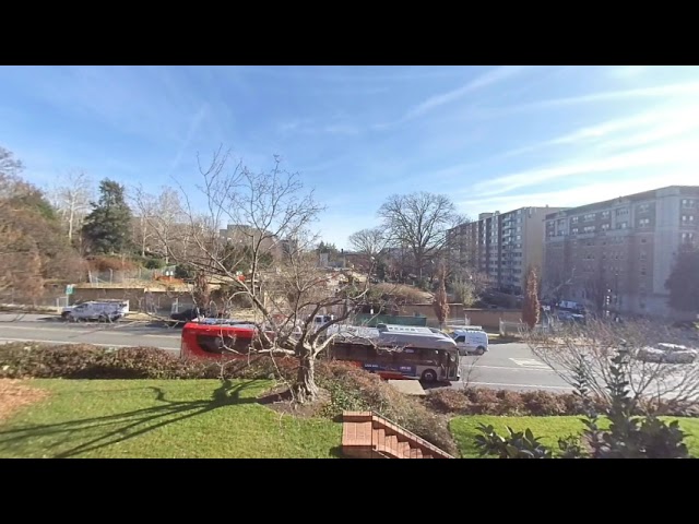 Full Day Timelapse over Meridian Hill Park in Washington, DC 5K 180 3D SBS