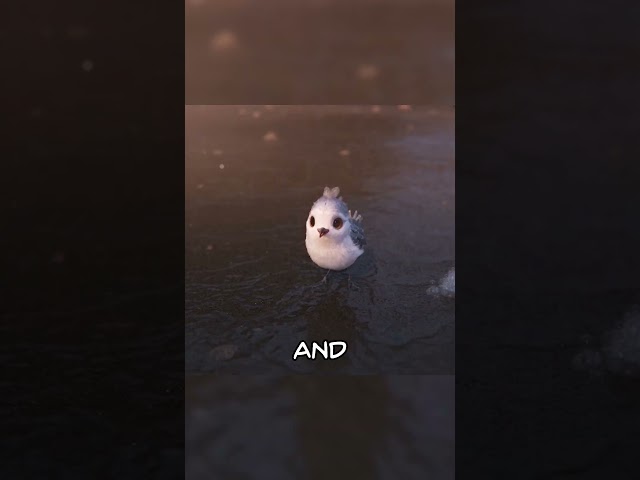 Sandpiper learning to feed itself