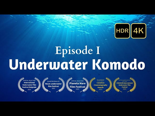 Underwater Komodo I - Where The Earth Breathes - HDR 4K