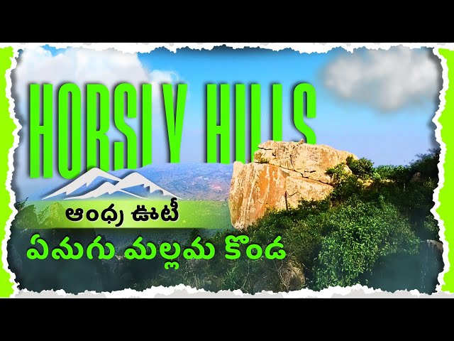 Horsely hills in winter | Andhra Ooty | Best place to visit inBudget friendly | MADHANAPALLI