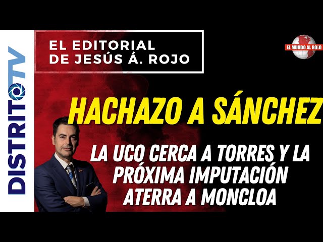 🔴EDITORIAL del DÍA🔴HACHAZO A SÁNCHEZ, LA UCO CERCA A TORRES Y LA PRÓXIMA IMPUTACIÓN ATERRA A MONCLOA