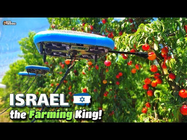 How Israel became the KING of Agriculture while surrounded by Enemies