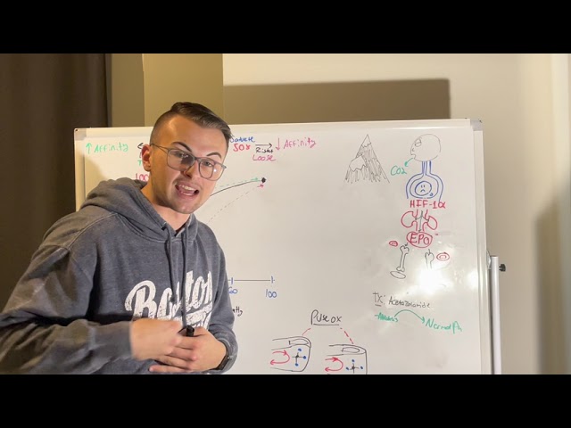 NCLEX Prep: Oxyhemoglobin Dissociation curve (Pulse Oximeter)