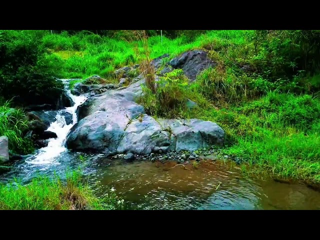 Beautiful Nature Waterfall Sounds Relaxtion Meditation Relaxing Calm River Water flow for Sleeping