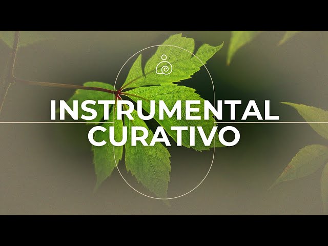 La música cura el corazón🌿 La música calmante restaura el sistema nervioso