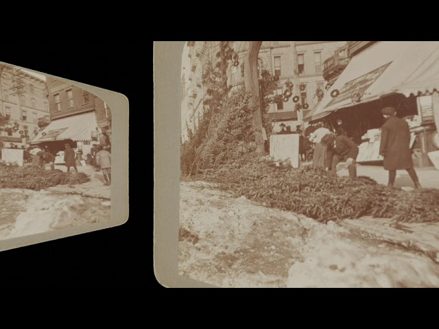 Fruit & News Stand, Albany NY, Dec 23 1902 (silent, still image)