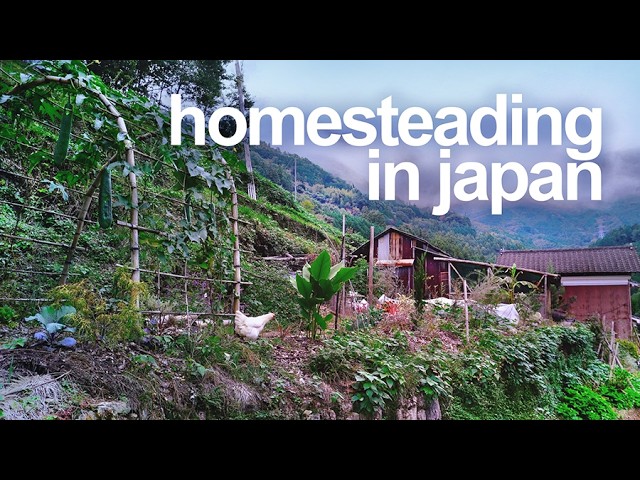 8 Months Later: Japanese Homestead Reveal!