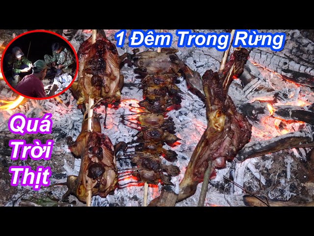 NGỦ RỪNG 1 ĐÊM - Săn Bắt trong rừng, cuộc sống trong rừng, Vào rừng kiếm ăn - Thợ Núi