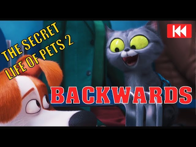 THE SECRET LIFE OF PETS 2  Video Backwards