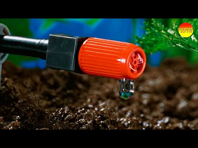 How to choose drip irrigation. Choosing drip irrigation