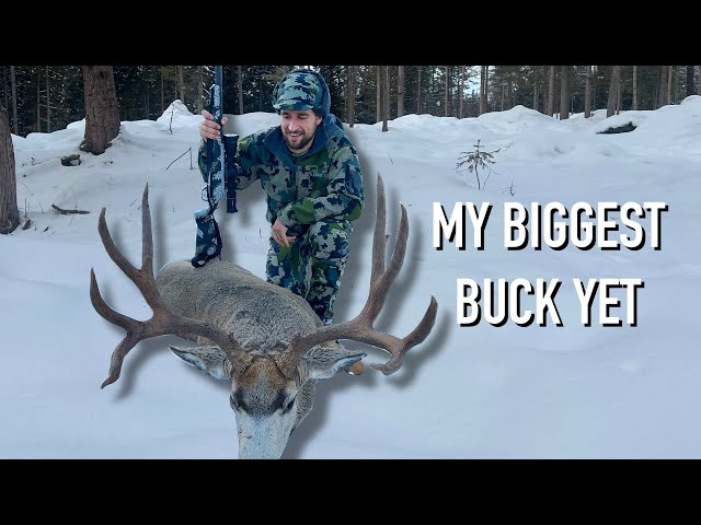 MY BIGGEST BUCK EVER!!! / Idaho Mule Deer Hunt - Stuck N The Rut 200