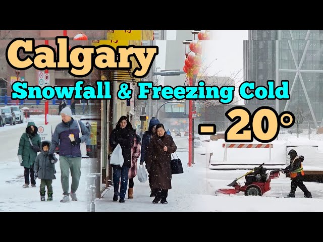 Snowfall and Freezing Cold in Calgary Alberta Canada. Calgary winter Walking tour #Calgary #snow