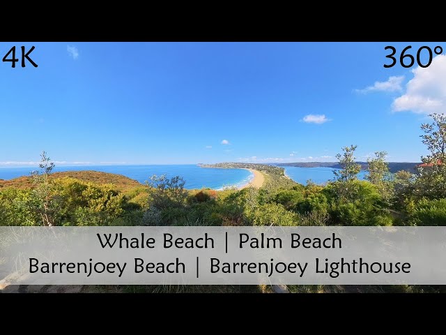 Walking Whale Beach to Palm Beach and the Barrenjoey Lighthouse | Sydney Australia | Slow TV