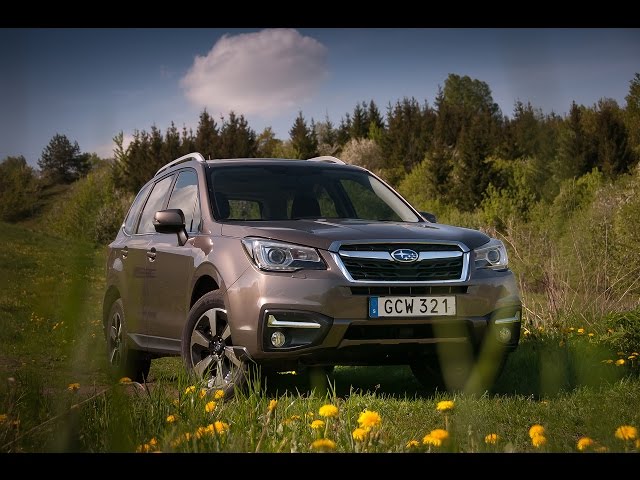 2017 Subaru Forester exploring the woods