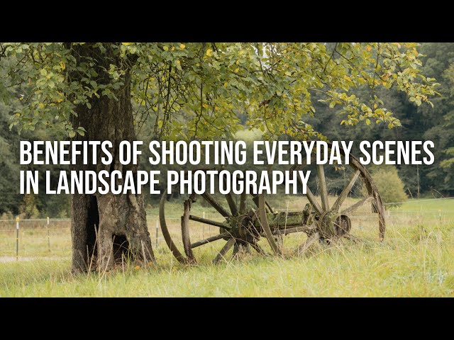 Benefits of Shooting Everyday Scenes | Landscape Photography