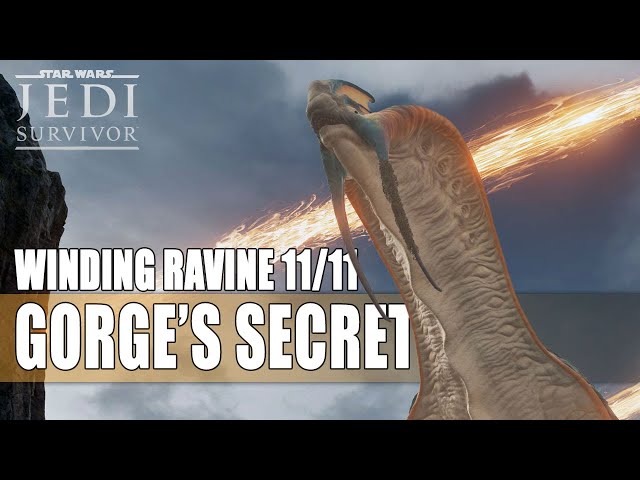 Find Gorge's Secret & Winding Ravine Collectibles:  Star Wars Jedi Survivor Walkthrough