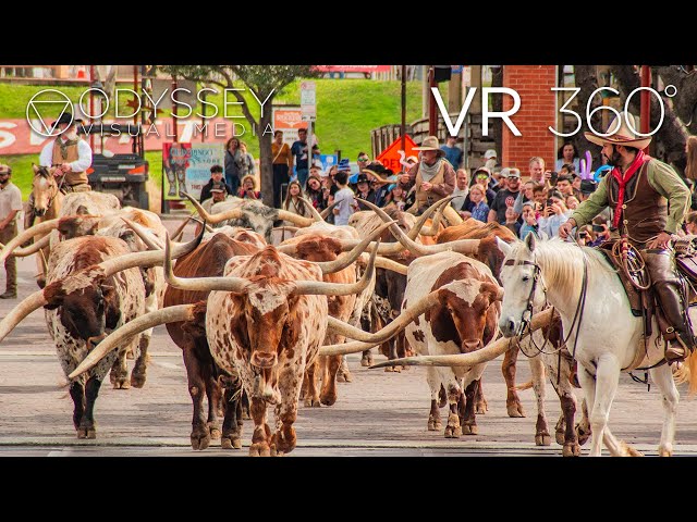 Texas Longhorn VR 360° Tour Experience Fort Worth Stockyards Historic District