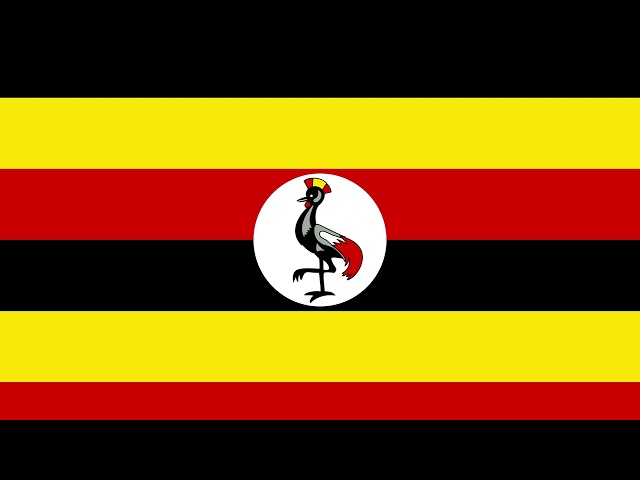 Uganda Flag 1 Hour