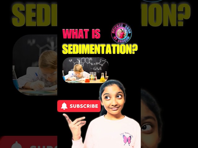 Sedimentation | NCERT Class 6 | Science Curiosity