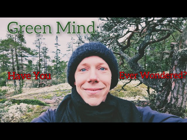 Green Mind - Have You Ever Wondered OFFICIAL MUSIC VIDEO