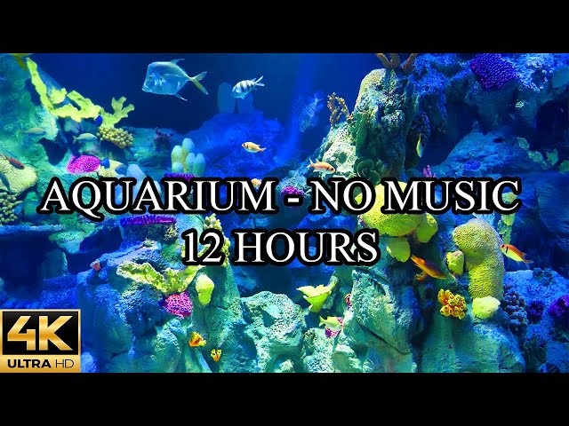 AQUARIUM 4K Coral Reef 4K Aquarium No Music No Ads - 12 Hours | Meditation | Relaxation | Sleeping