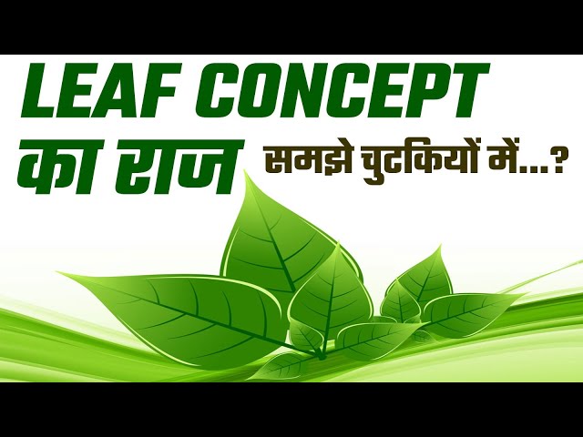 Leaf Concept का राज | समझे चुटकियो में.. Maths Tricks & Concepts Within Seconds @KD_LIVE