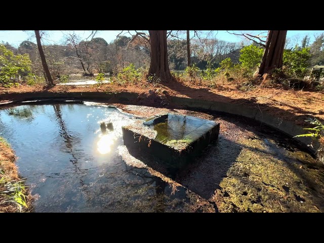 [ASMR Sleep Ambient Sound] 4k Nature in Japan The Sound of Water