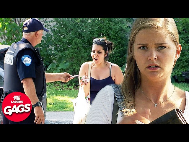 Best Of College Campus Pranks 2024 | Just For Laughs Gags