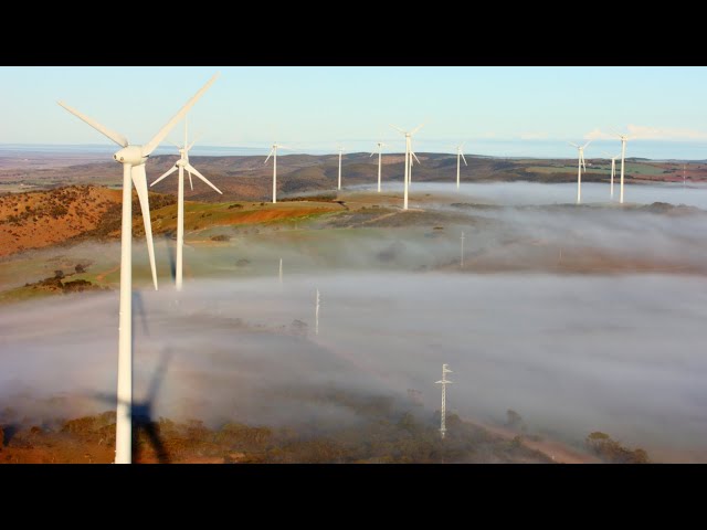 ‘Enormous costs’ involved to replace wind turbines