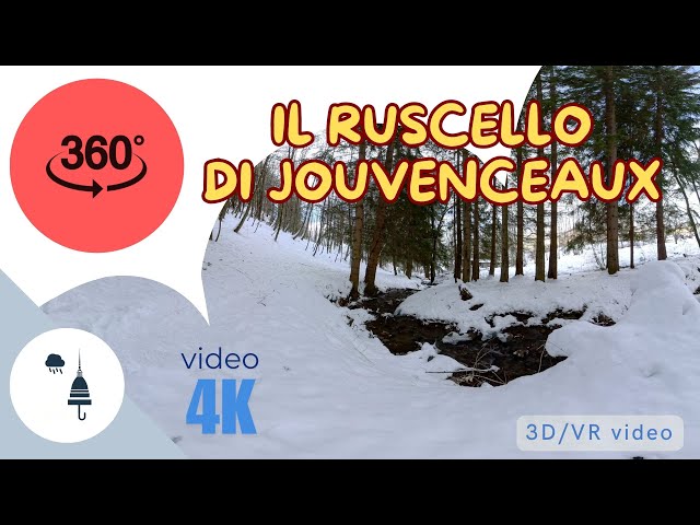 Suoni rilassanti: ruscello nella foresta innevata, video 360 gradi/VR