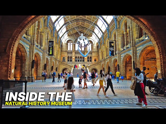 Museum Tour 🇬🇧 - INSIDE the Natural History Museum London 🏛 Uncover the history of life on Earth 🌍🌱