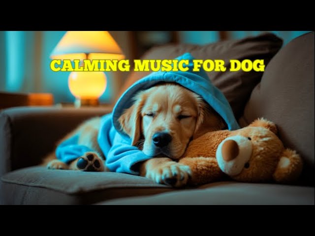 Dog Relaxation Music 🎵 12 Hours of Calming Sounds for Deep Sleep