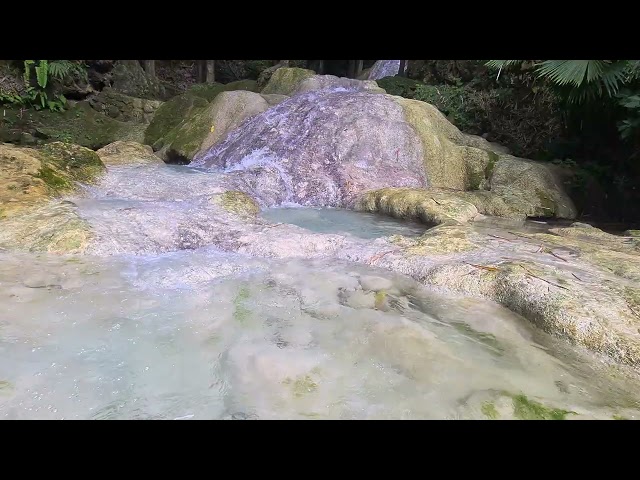 Small Moss Waterfall in the Middle of the old Forest. Flowing Water Sounds | ASMR for Sleep & Focus