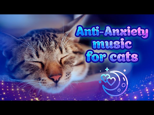 Healing Music For Sick Cats ♬ Calming 432hz CAT MUSIC for relaxation