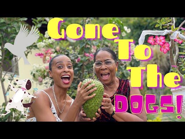 Story Time | Gone To The Dogs| Mama&Me