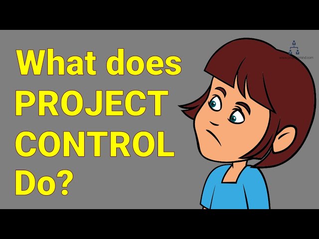 What does Project Controller do?