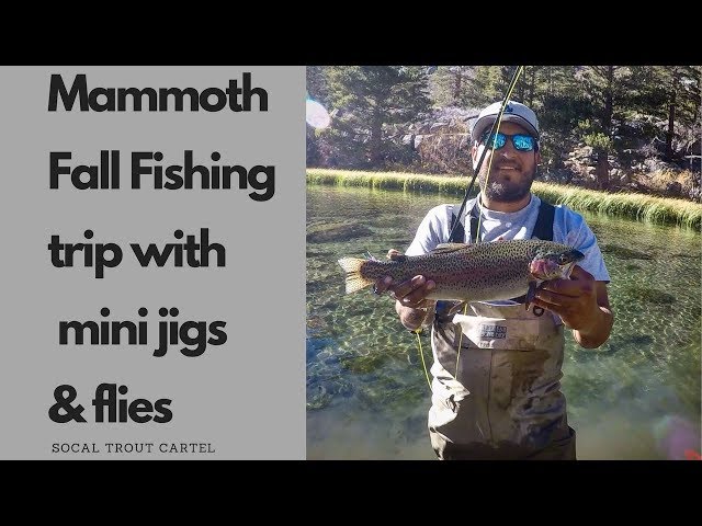 Fall fishing in Mammoth with mini jigs and flies