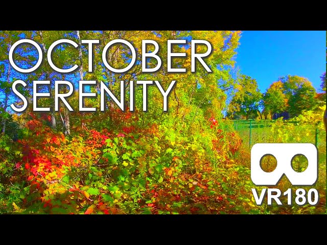 October Serenity: 2 Minutes of Autumn Calm in Virtual Reality