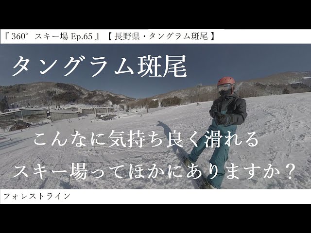 『 360°スキー場 Ep.65 』【 長野県・タングラム斑尾 】フォレストライン