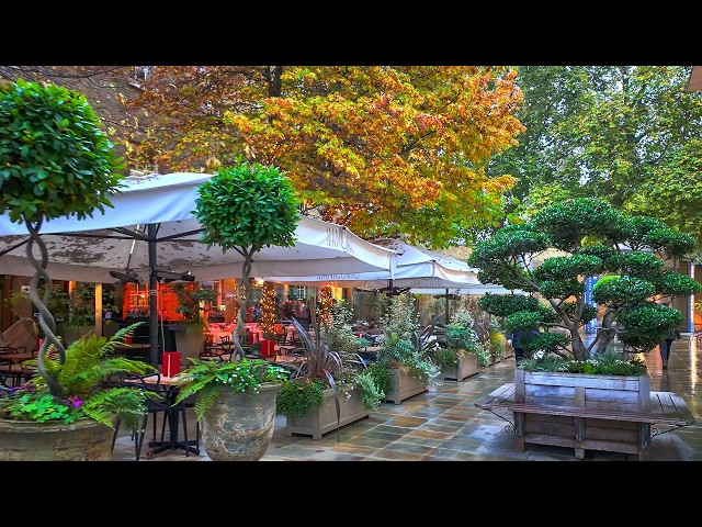 Rainy London Autumn Halloween Walk 🍁🎃 Belgravia, Chelsea & Knightsbridge | 4K HDR