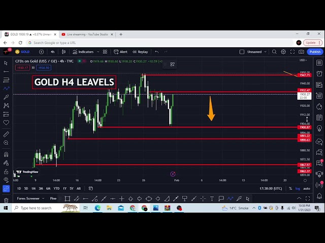 Forex For You Live Stream