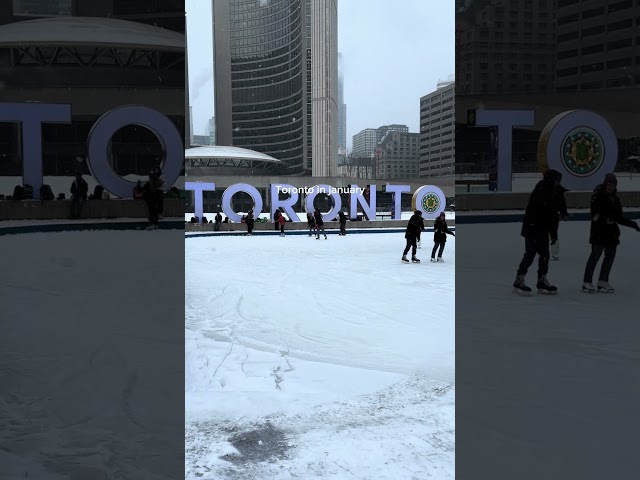 Toronto in winter, under the snow ❄️