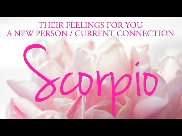 SCORPIO love tarot ♏️ There Is Someone Who Is Totally In Love With You Scorpio