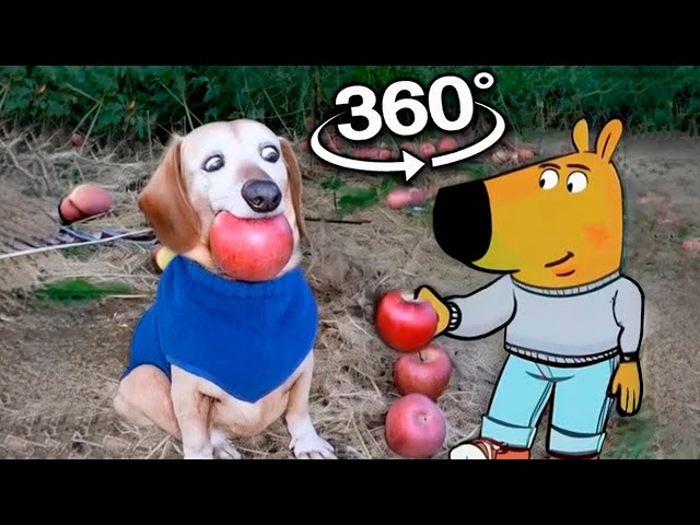 360º VR Dog with Apple in Mouth | Apple Dog AI Memes